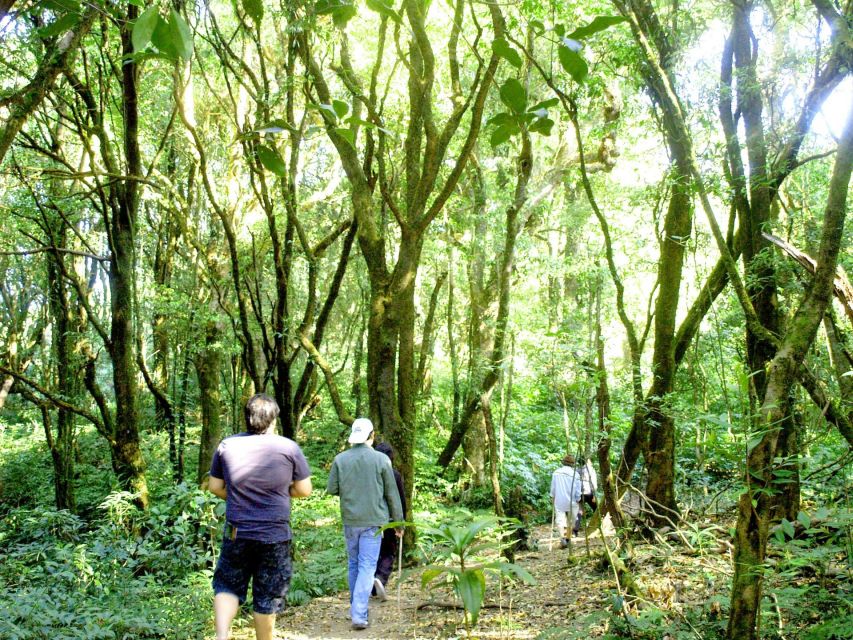 Chiang Mai: Doi Inthanon, Waterfalls, & Tribal Villages Tour - Lunch, Driving Time, and How the 10-Hour Day Feels