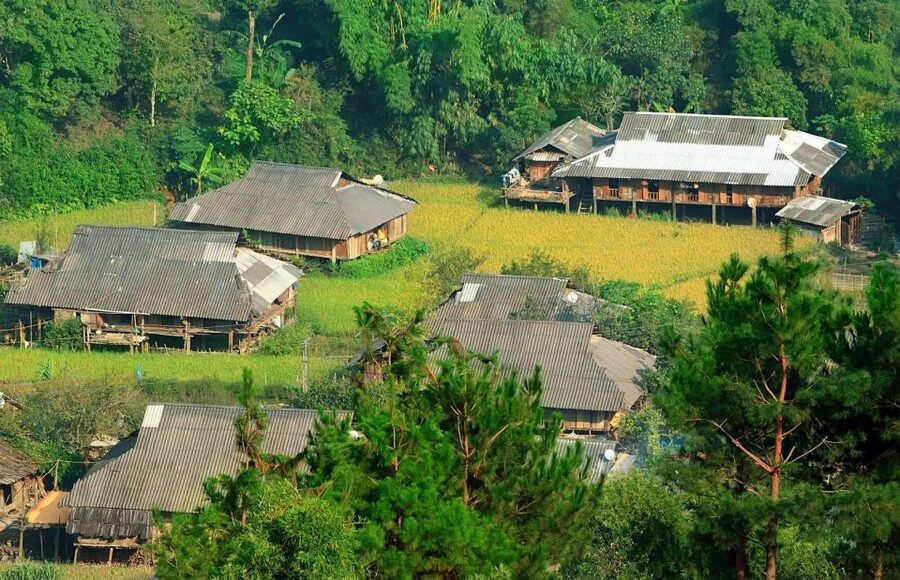 Chiang Mai: Doi Suthep and Hmong Village Half-Day Tour - Wat Phra That Doi Suthep: Legends, Steps, and a View Over Chiang Mai