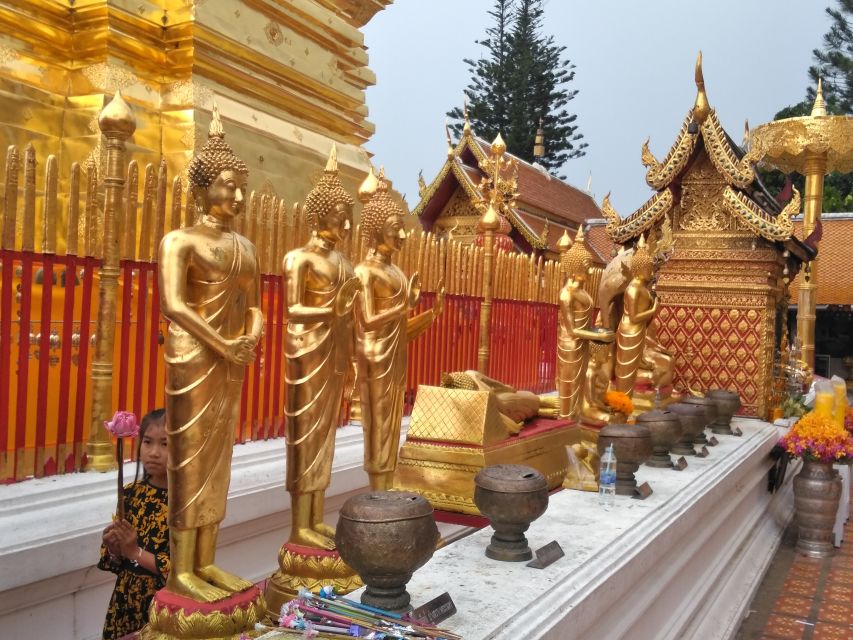 Chiang Mai: Doi Suthep National Park Leisure Hiking & Biking - Quick FAQ for Planning Your Doi Suthep Day
