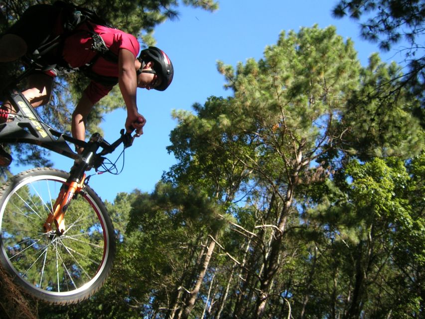 Chiang Mai: Doi Suthep National Park Leisure Hiking & Biking - How Much It Really Costs: What $60 Buys You (and Why It Can Be Good Value)