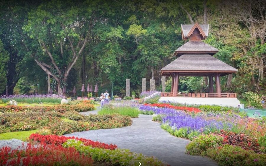 Chiang Mai: Doi Suthep National Park Leisure Hiking & Biking - Fitness, Weather, and What to Pack for a Day Around Doi Suthep