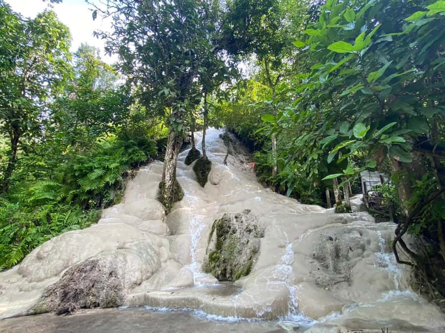 Chiang Mai: Doi Suthep, Orchid Farm and Waterfall with Lunch - Key moments that make this tour work