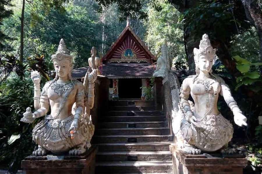 Chiang Mai: Doi Suthep, Orchid Farm and Waterfall with Lunch - A one-day Chiang Mai loop that keeps its promise