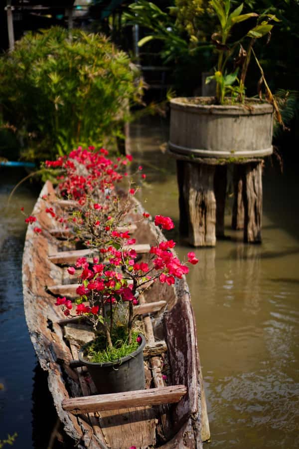 Chiang Mai: Doi Suthep, Orchid Farm and Waterfall with Lunch - Orchid & Butterfly Farm: a calm middle that doesn’t feel like a detour