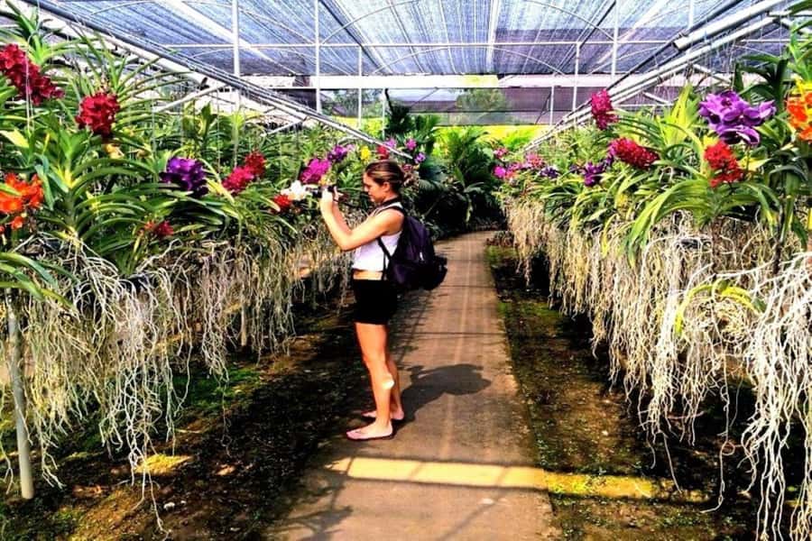 Chiang Mai: Doi Suthep, Orchid Farm and Waterfall with Lunch - Bua Thong Sticky Waterfalls: the wet-play highlight (come ready)