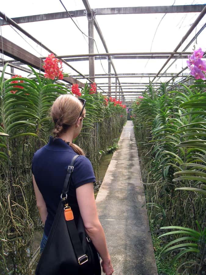 Chiang Mai: Doi Suthep, Orchid Farm and Waterfall with Lunch - Karen Village option: add cultural flavor if it fits your interests