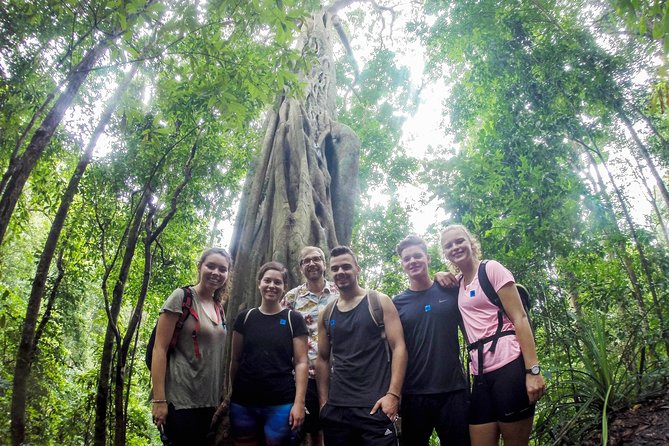 Chiang Mai: Doi Suthep Summit Trek – 7 Hour Pure Hiking Adventure - Key Things to Know Before You Hike Doi Pui