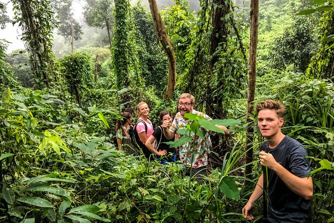Chiang Mai: Doi Suthep Summit Trek – 7 Hour Pure Hiking Adventure - The Doi Pui Viewpoint Stretch: Jungle Hiking and Water Moments