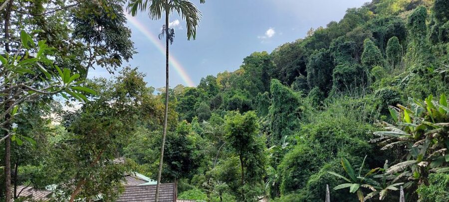 Chiang Mai: Doi Suthep Temple & Sticky Waterfall Trip - Orchid and Butterfly Farm: color, calm, and a break from temple pacing