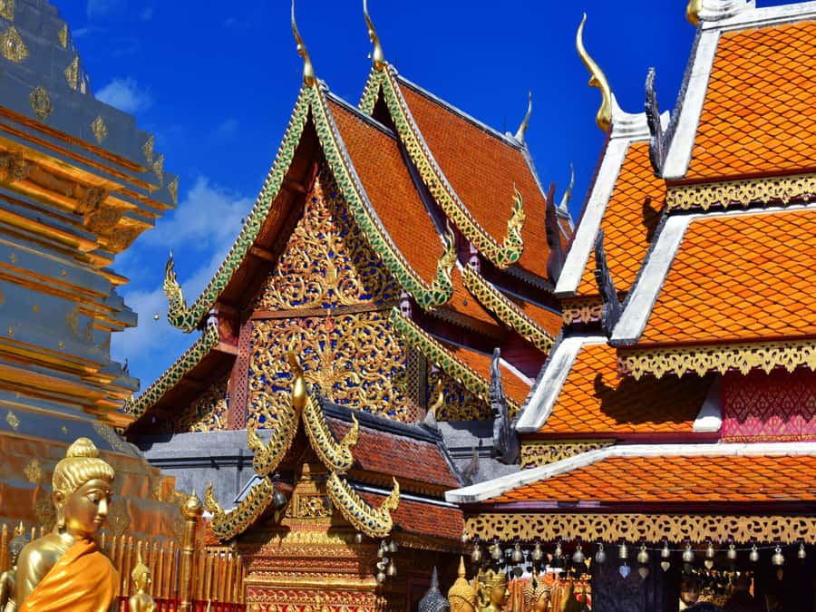 Chiang Mai: Doi Suthep Temple & Sticky Waterfall Trip - Bua Thong Sticky Waterfall: grippy limestone climbing (plus crowds)