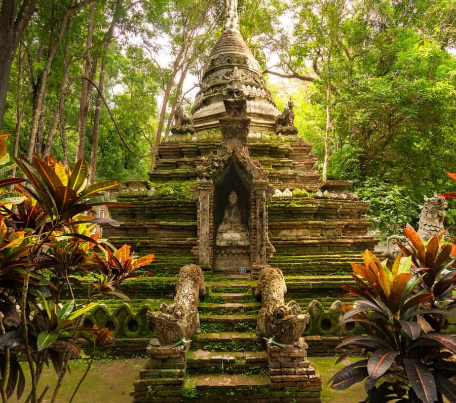 Chiang Mai: Doi Suthep Temple & Sticky Waterfall Trip - Morning pickup and the van rhythm (what your schedule really feels like)