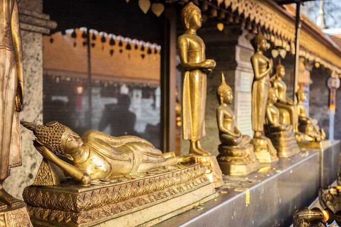 Chiang Mai - Doi Suthep Temple & Wat Pha Lat Hike - Timing options: sunrise-first vs afternoon and how it changes the walk