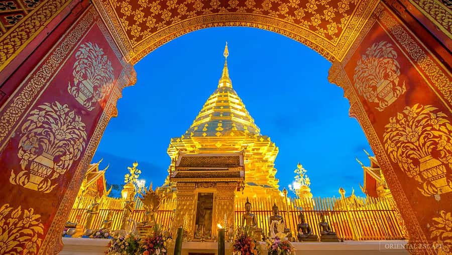 Chiang Mai: Doi Suthep, Wat Pha Lat & Wat Umong Spanish Tour - Wat Pha Lat in the jungle: walking a former pilgrim resting enclosure