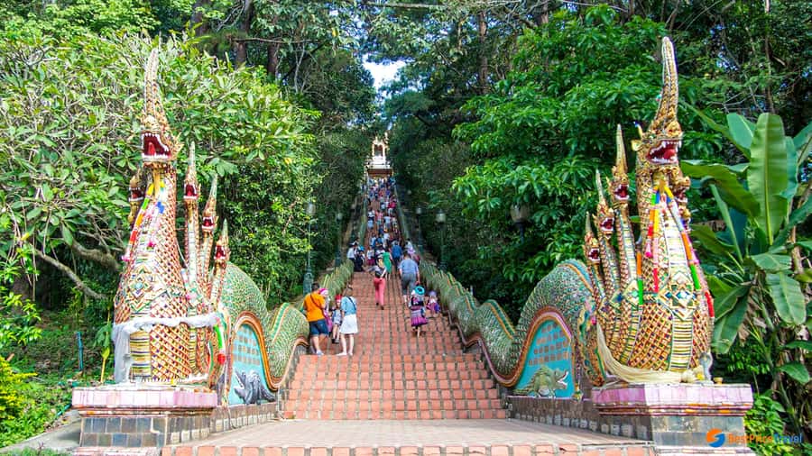 Chiang Mai: Doi Suthep, Wat Pha Lat & Wat Umong Spanish Tour - Huai Tung Tao lakeside lunch: where locals go on weekends