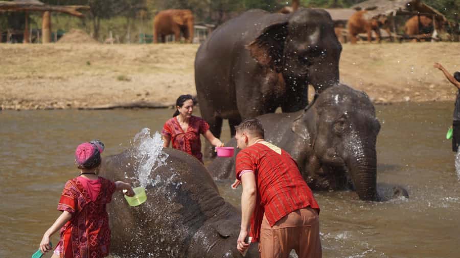 Chiang Mai: Elephant care & Long Neck &Sticky Waterfall Tour - Elephant care without riding: what you’ll do and why it matters