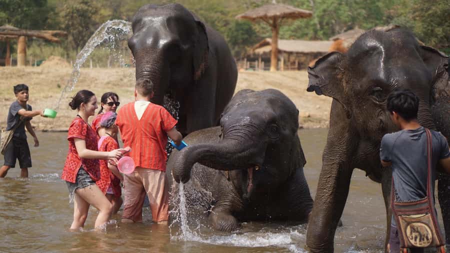 Chiang Mai: Elephant care & Long Neck &Sticky Waterfall Tour - Bua Thong Sticky Waterfall: limestone stairs, knee-deep fun, real slipperiness