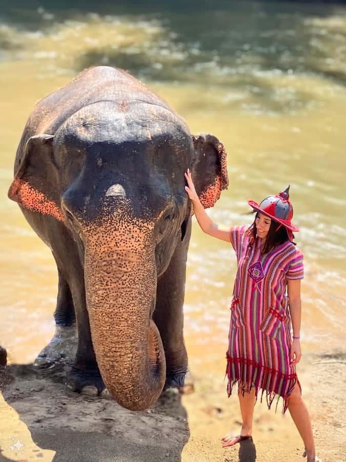 Chiang Mai : Elephant Care & Long necked village - Key Highlights You’ll Actually Remember