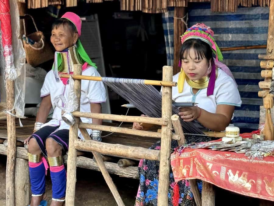 Chiang Mai : Elephant Care & Long necked village - Elephant Care and Karen Village: what this day feels like