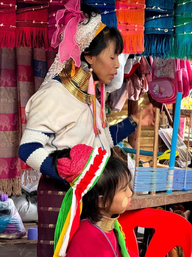 Chiang Mai : Elephant Care & Long necked village - The 2.5-hour walk and sightseeing: how to enjoy it instead of rushing it
