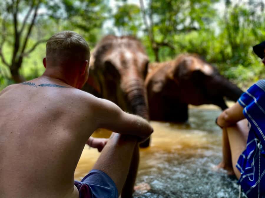Chiang Mai: Elephant Dream Project Sanctuary - Full Day - The Waterfall Reset at Around 2:00 PM