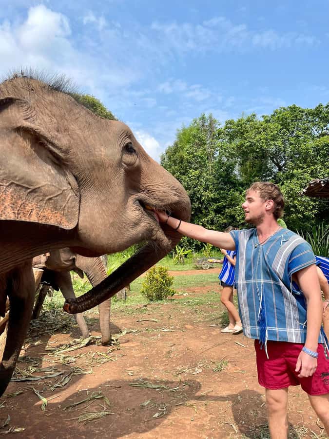 Chiang Mai: Elephant Dream Project Sanctuary - Full Day - Returning to Chiang Mai: Getting Back Without Losing the Day