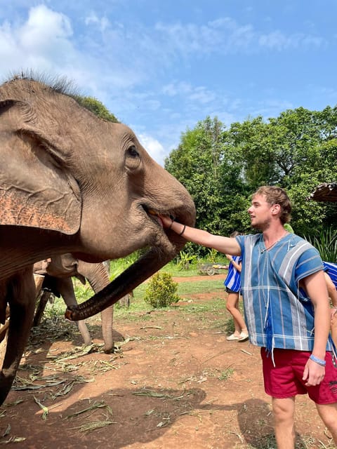 Chiang Mai: Elephant Dream Project Sanctuary - Half-Day - Key moments worth planning for