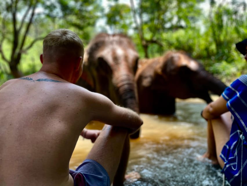 Chiang Mai: Elephant Dream Project Sanctuary - Half-Day - Why this sanctuary visit feels different in Chiang Mai Province