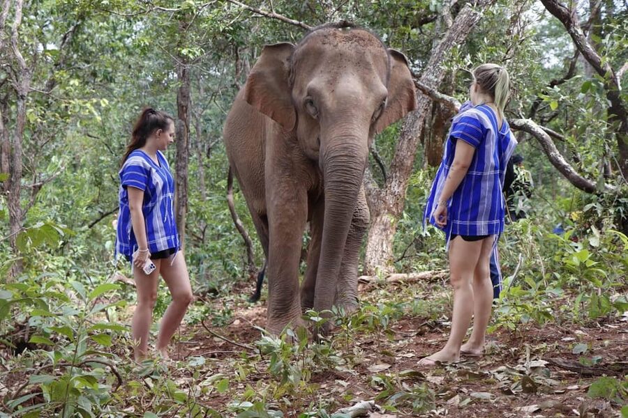 Chiang Mai: Elephant Dream Project Sanctuary - Half-Day - What to bring so your day stays comfortable