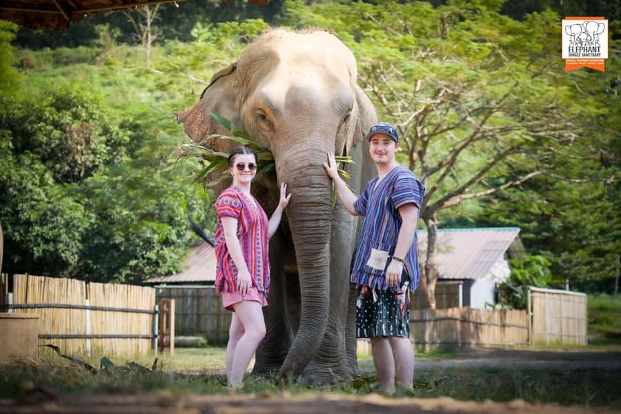 Chiang Mai Elephant Jungle Sanctuary &Mama Noi Cooking Class - Meeting the elephants: feeding, playing, and the rules you’ll actually need