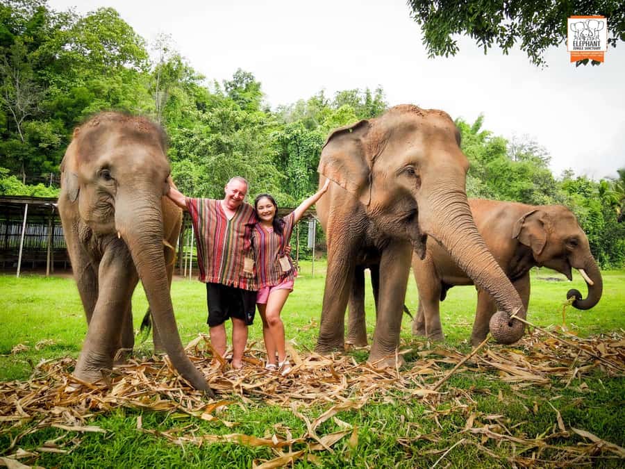 Chiang Mai Elephant Jungle Sanctuary &Mama Noi Cooking Class - Lunch at the sanctuary: a real break, not just a snack stop