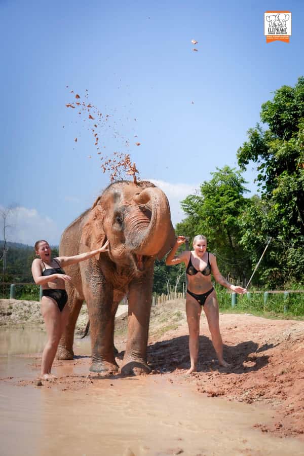 Chiang Mai Elephant Jungle Sanctuary &Mama Noi Cooking Class - Chiang Mai market time and Mama Noi’s organic garden