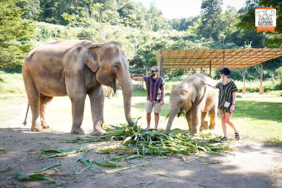 Chiang Mai Elephant Jungle Sanctuary &Mama Noi Cooking Class - Dinner plus mango sticky rice: finish with the Thai classics you made