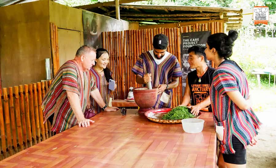 Chiang Mai: Elephant Jungle Sanctuary with Lunch & Transfer - Mud spa: why it’s more than a messy photo moment
