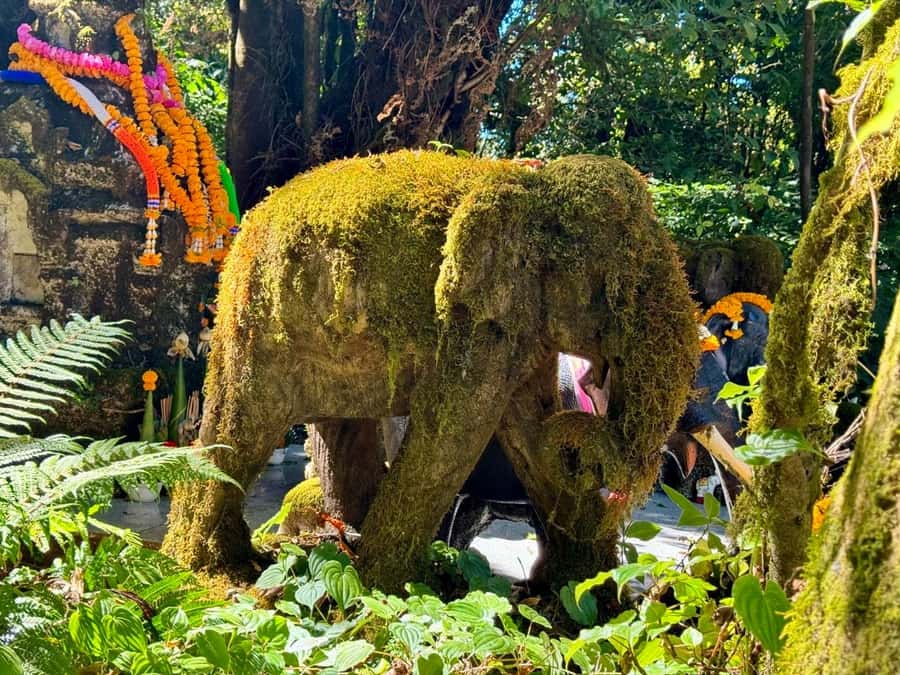 Chiang Mai Elephant Recovery Center, Doi Inthanon and Hiking - Pad Thai, Timing, and Transportation: The Real-World Value