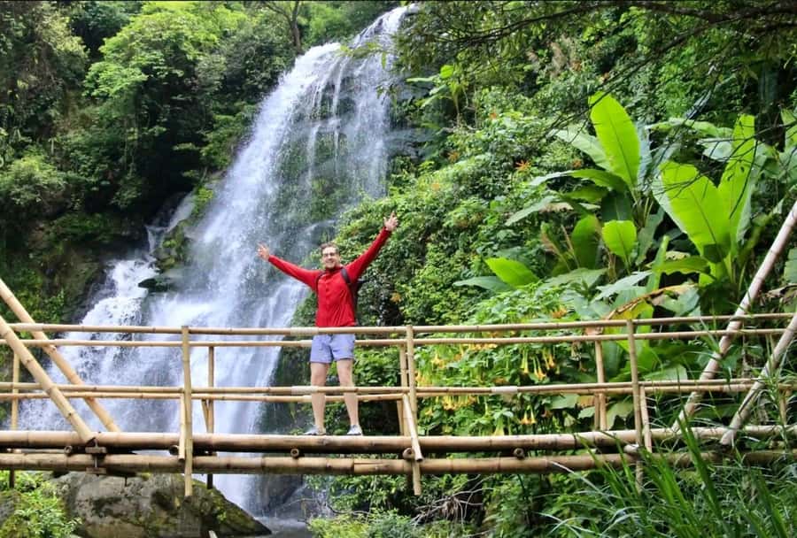 Chiang Mai Elephant Recovery Center, Doi Inthanon and Hiking - Should You Book This Day Trip?