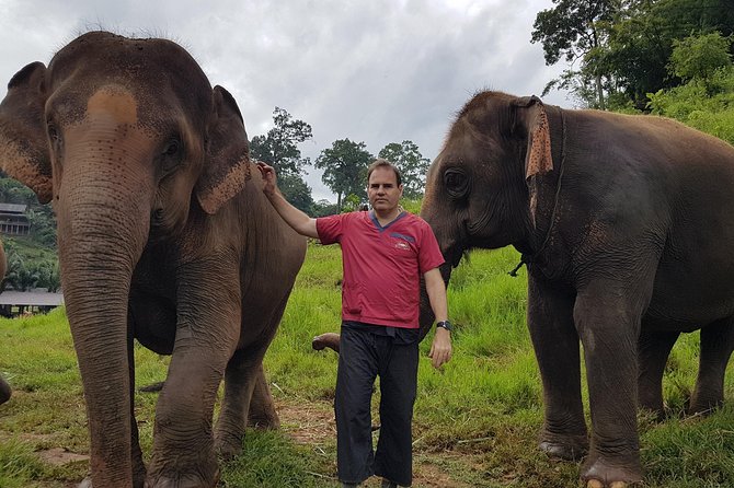 Chiang Mai Elephant Sanctuary and Temples Tour in Spanish - Wat Phra That Doi Suthep: cable car, steep stairs, and big views