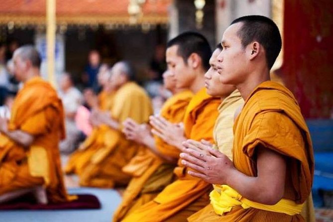 Chiang Mai Elephant Sanctuary and Temples Tour in Spanish - Who this tour suits best (and who should choose a different plan)
