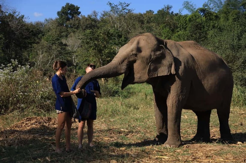 Chiang Mai: Elephant Sanctuary Bamboo Raft & Padthai Cooking - Key highlights worth marking on your map