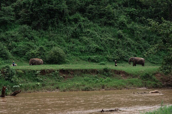 Chiang Mai Elephant Sanctuary, Bamboo Rafting and Waterfall Tour - The day’s main idea: three activities, one smooth flow