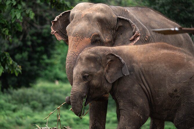 Chiang Mai Elephant Sanctuary, Bamboo Rafting and Waterfall Tour - Stop 1: Bua Thong Waterfalls (Nam Phu Chet Si) and the barefoot climb