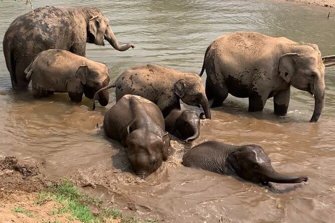 Chiang Mai Elephant Sanctuary, Bamboo Rafting and Waterfall Tour - Stop 3: Bamboo rafting with mountains, trees, and a slower pace