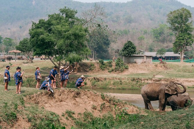 Chiang Mai Elephant Sanctuary, Bamboo Rafting and Waterfall Tour - Value check: is this worth booking?