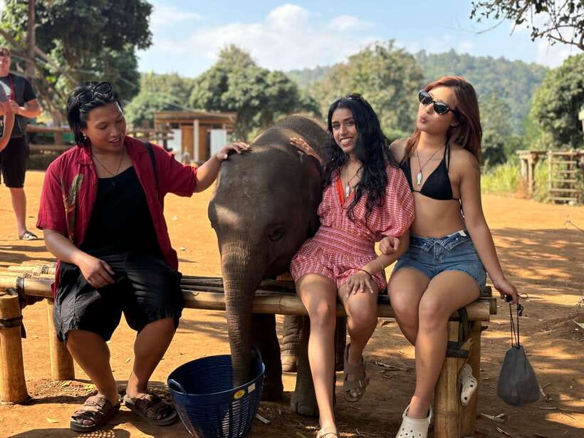 Chiang Mai: Elephant Sanctuary Feeding Program Half-Day Tour - The Safety Briefing: What You Learn Before You Get Close