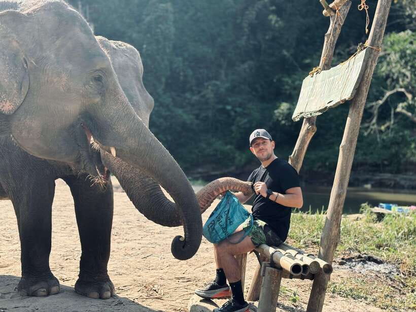 Chiang Mai: Elephant Sanctuary Feeding Program Half-Day Tour - Nature Walk and Herbal Treat Prep: Learning That Makes Feeding Meaningful