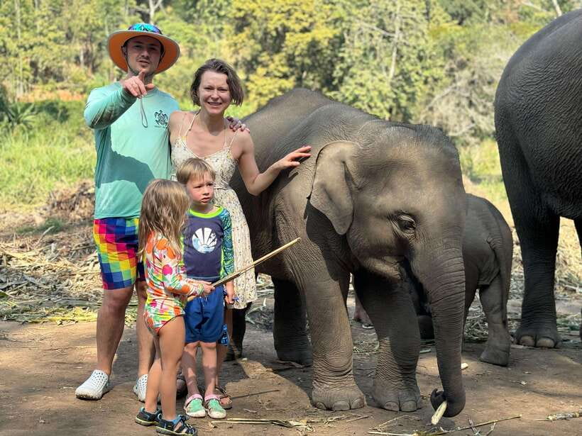 Chiang Mai: Elephant Sanctuary Feeding Program Half-Day Tour - Feeding Napier Grass, Sugarcane, and Bananas Without the Chaos