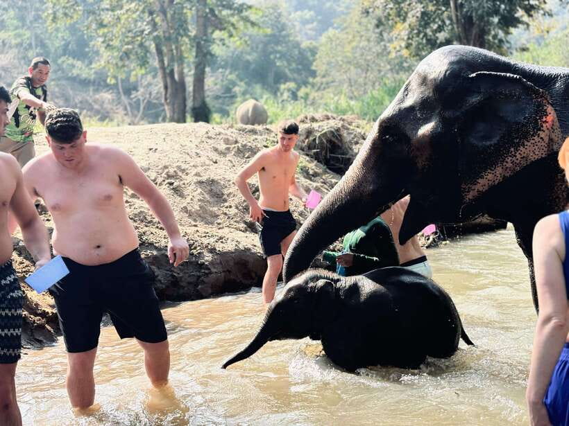 Chiang Mai: Elephant Sanctuary Feeding Program Half-Day Tour - What to Pack: Wet Clothes, Mud, and Biodegradable Stuff