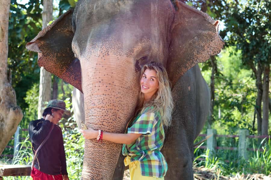 Chiang Mai: Elephant Sanctuary Guided Tour in Spanish - A Gentle, Hands-On Elephant Sanctuary Day in Chiang Mai