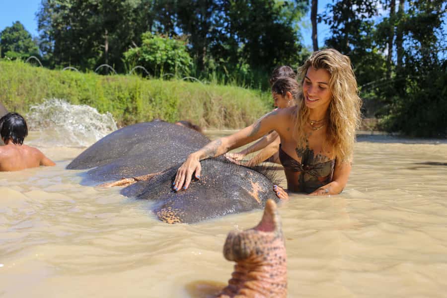 Chiang Mai: Elephant Sanctuary Guided Tour in Spanish - Greeting Elephants With a Banana Basket