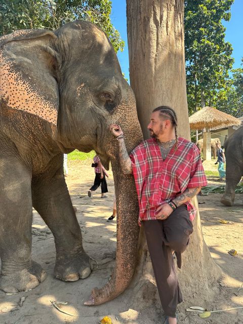 Chiang Mai: Elephant Sanctuary Guided Tour in Spanish - Price and Value: Is $109 Good for This 6-Hour Tour?