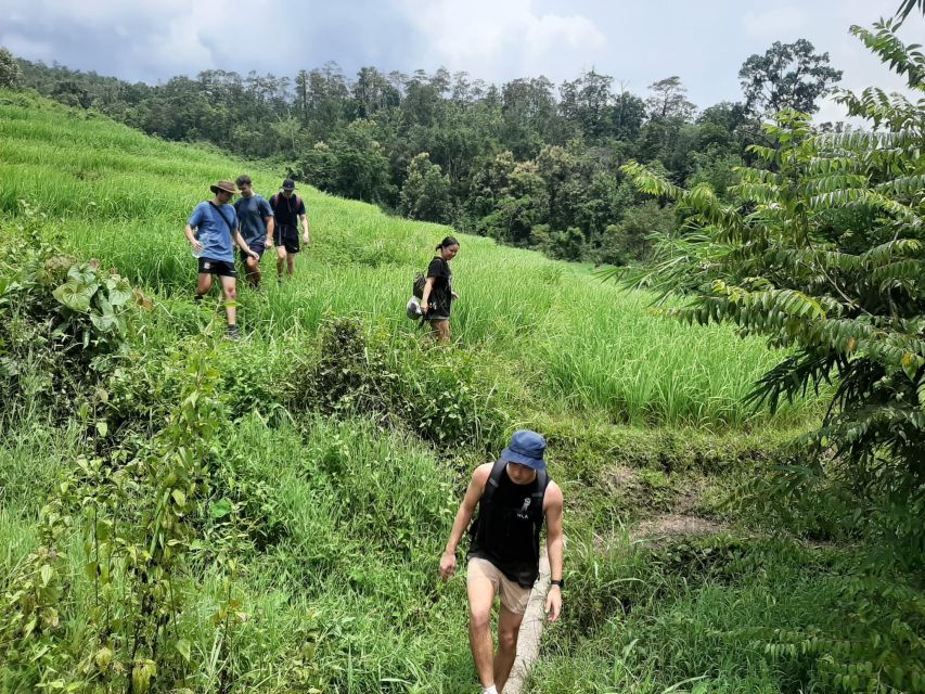 Chiang Mai: Elephant Sanctuary & Jungle Trek w/ Waterfall - A Day of Elephants, Bamboo Rafts, and Mae Wang Waterfall